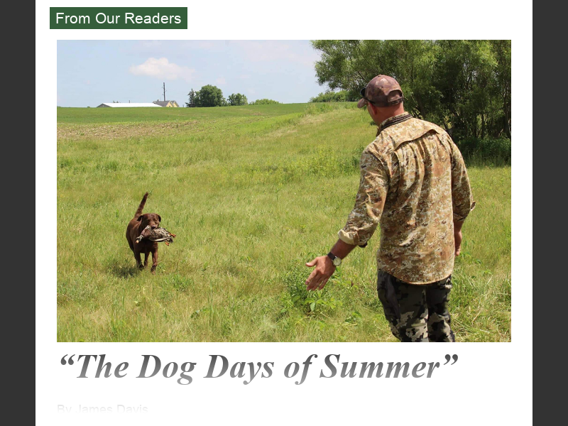 April 2022From Our Readers: The Dog Days of Summer