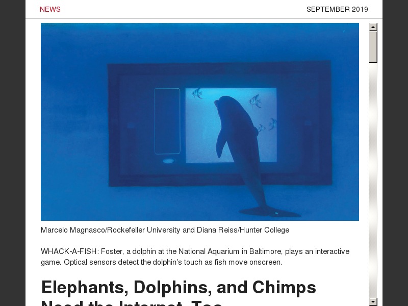 IEEE Spectrum NA September 2019Elephants, Dolphins, and Chimps Need the  Internet, Too