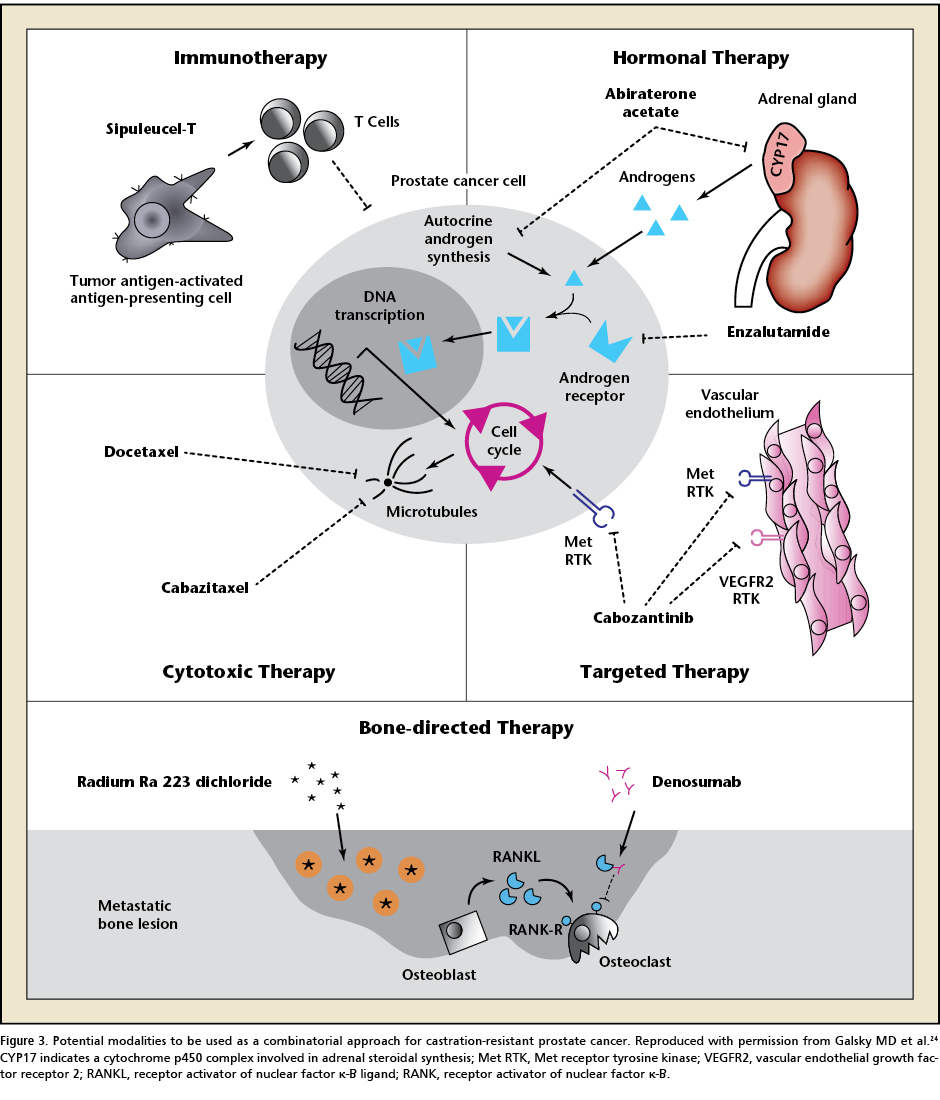 The Rationale For Optimal Combination Therapy With Sipuleucel T For Patients With Castration 7264