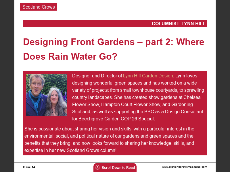 issue-14where-does-rain-water-go