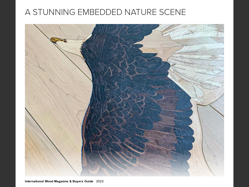 Buyers Guide 2023A Stunning Embedded Nature Scene