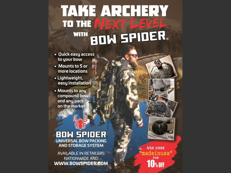 February 2024Bow Spider   Article 153579 