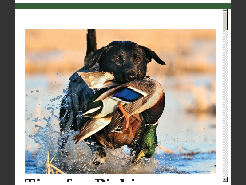 Manitoba teacher hopes goose hunting will help save his students