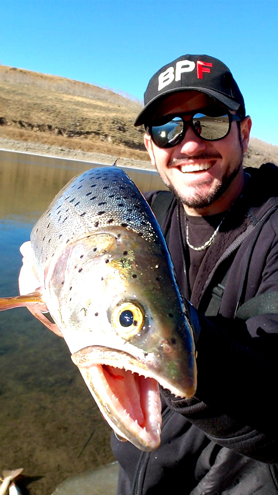 Trout fishing with soft plastics everything you need to know 