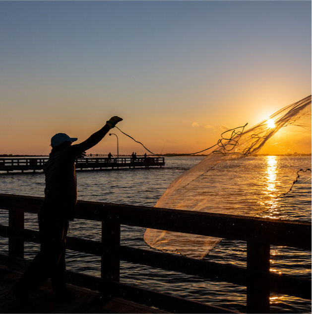 Long Island's Small Trout Stream Charm - The Fisherman