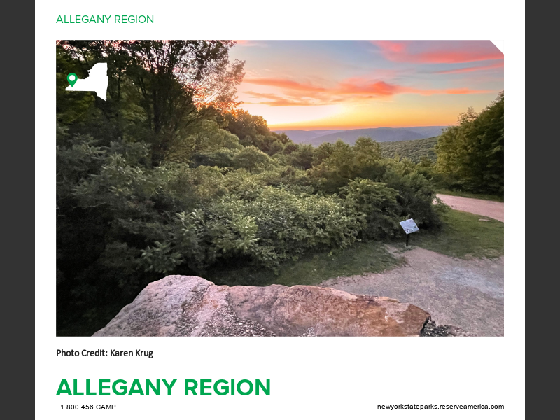 CAMPING ALLEGANY COUNTY NY intelligence overview