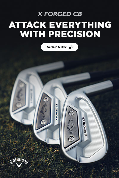 ロン What's Inside