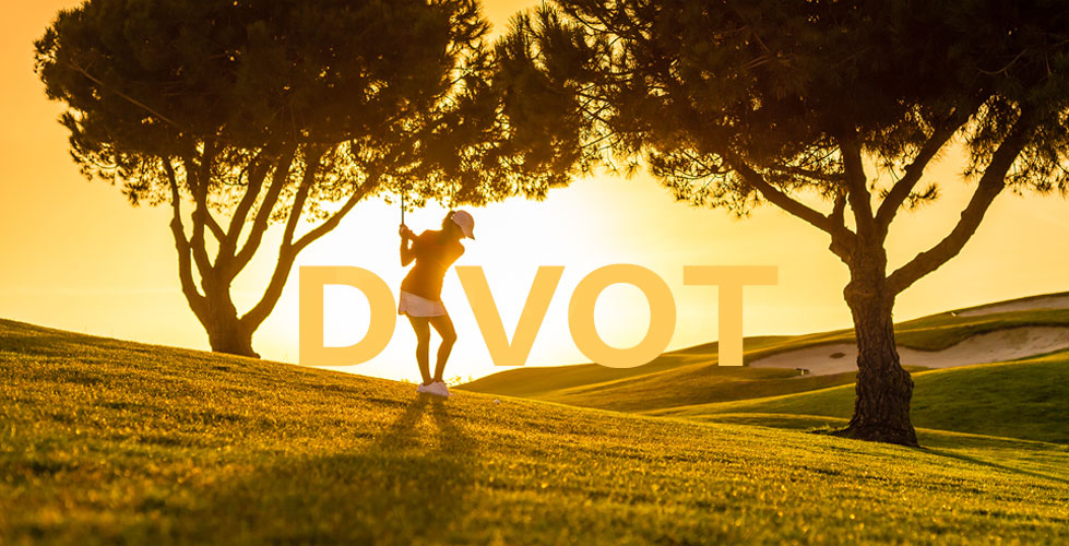 July 8, 2024The Divot