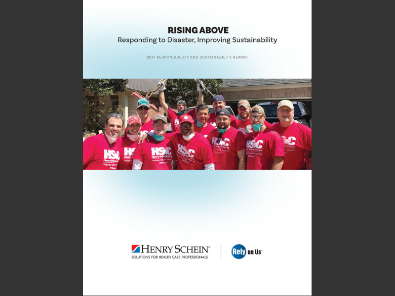 2017 Responsibility and Sustainability Report