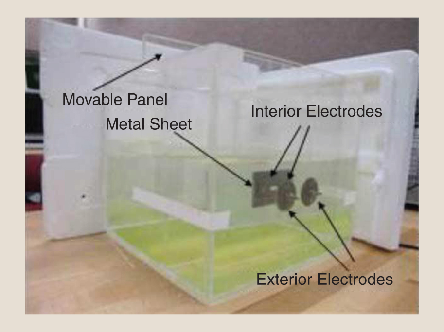 Algo Glass Food Container with Divider 1L