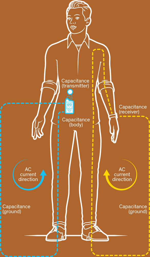 IEEE Spectrum NA December 2020The Body Is the Network