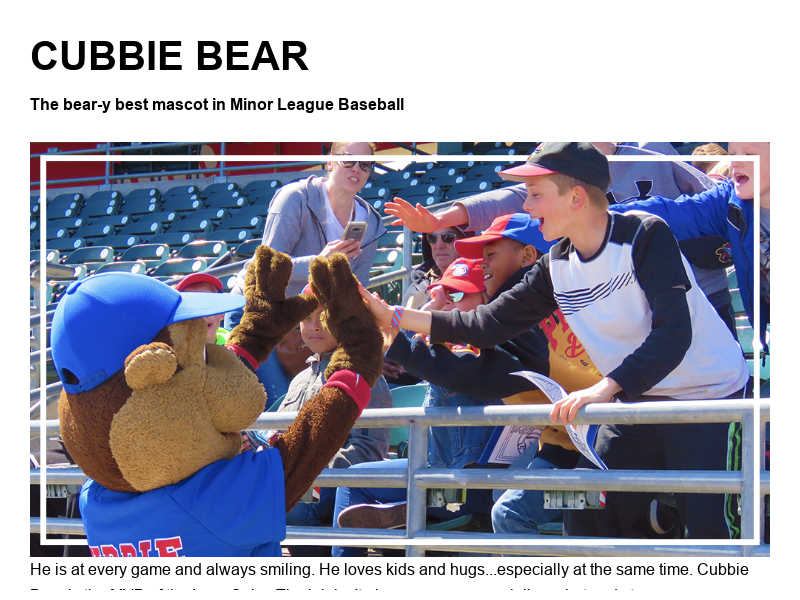 Iowa Cubs - It's Cubbie's birthday party on Sunday and his