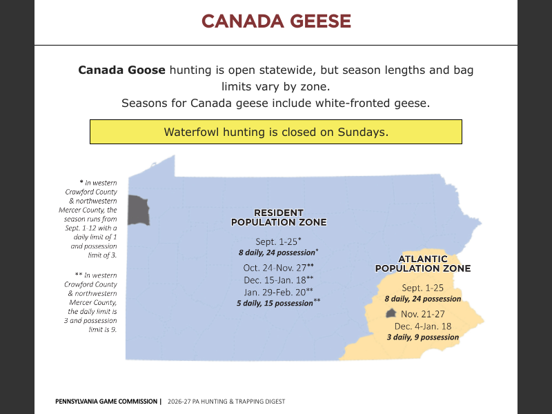 Hunting & Trapping Digest 2026-2027Canada Geese