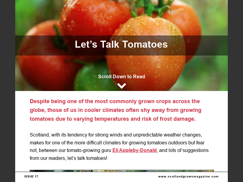 Issue 17Let’s Talk Tomatoes