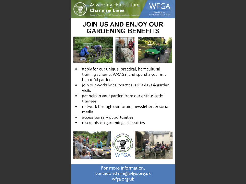 Issue 21WFGA issue-21wfga