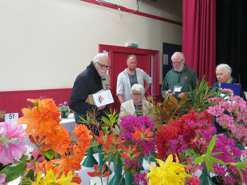 Scottish National Rhododendron Show