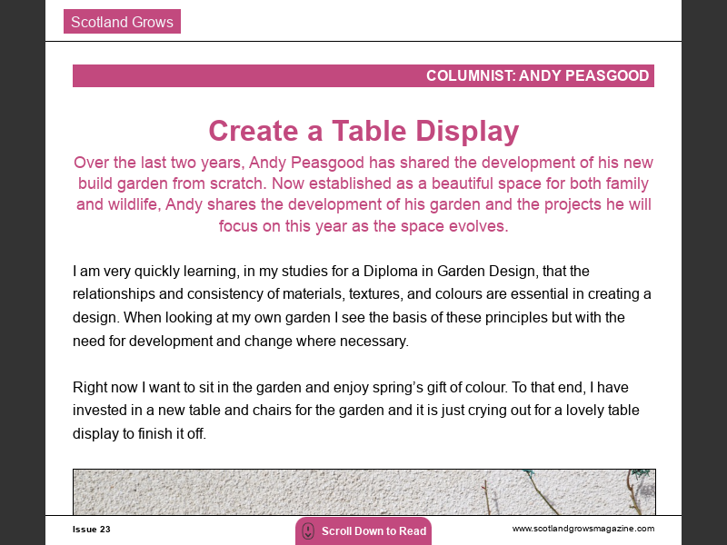 Issue 23Create a Table Display