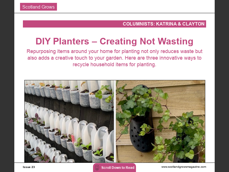 Issue 23DIY Planters