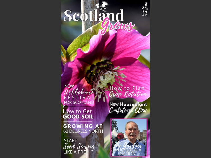 Issue 34