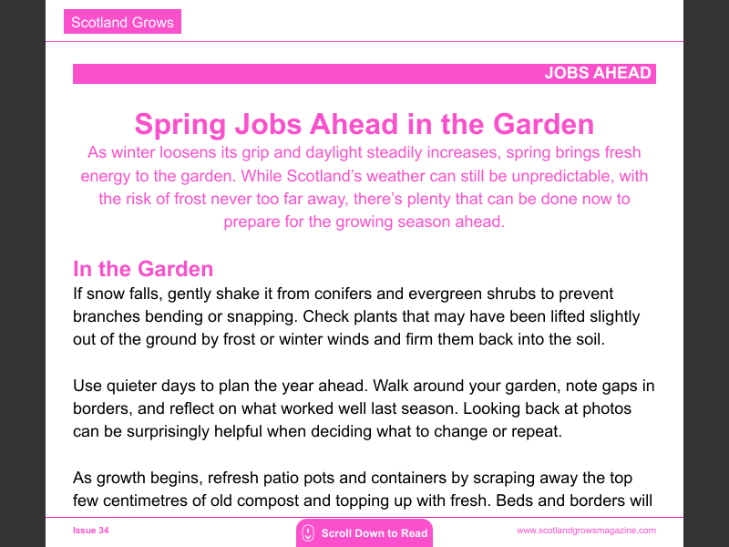 Issue 34Spring Jobs Ahead