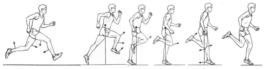 Athletics Coaching Guide - 2017Sprints, Hurdles and Relays