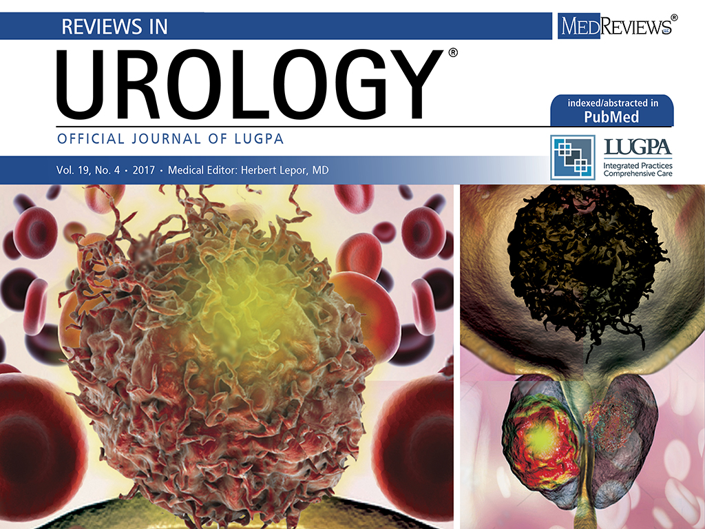 Reviews In Urology Volume 19 No 4 2017   1c043817f0bee46c01066cc2f1f87a1c 