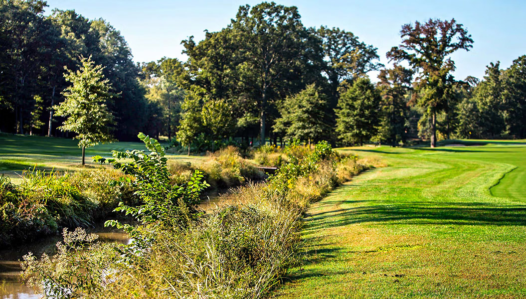 Native Rough Golf Course October 2025It’s Good for Golf Courses to Be Rough Around the Edges